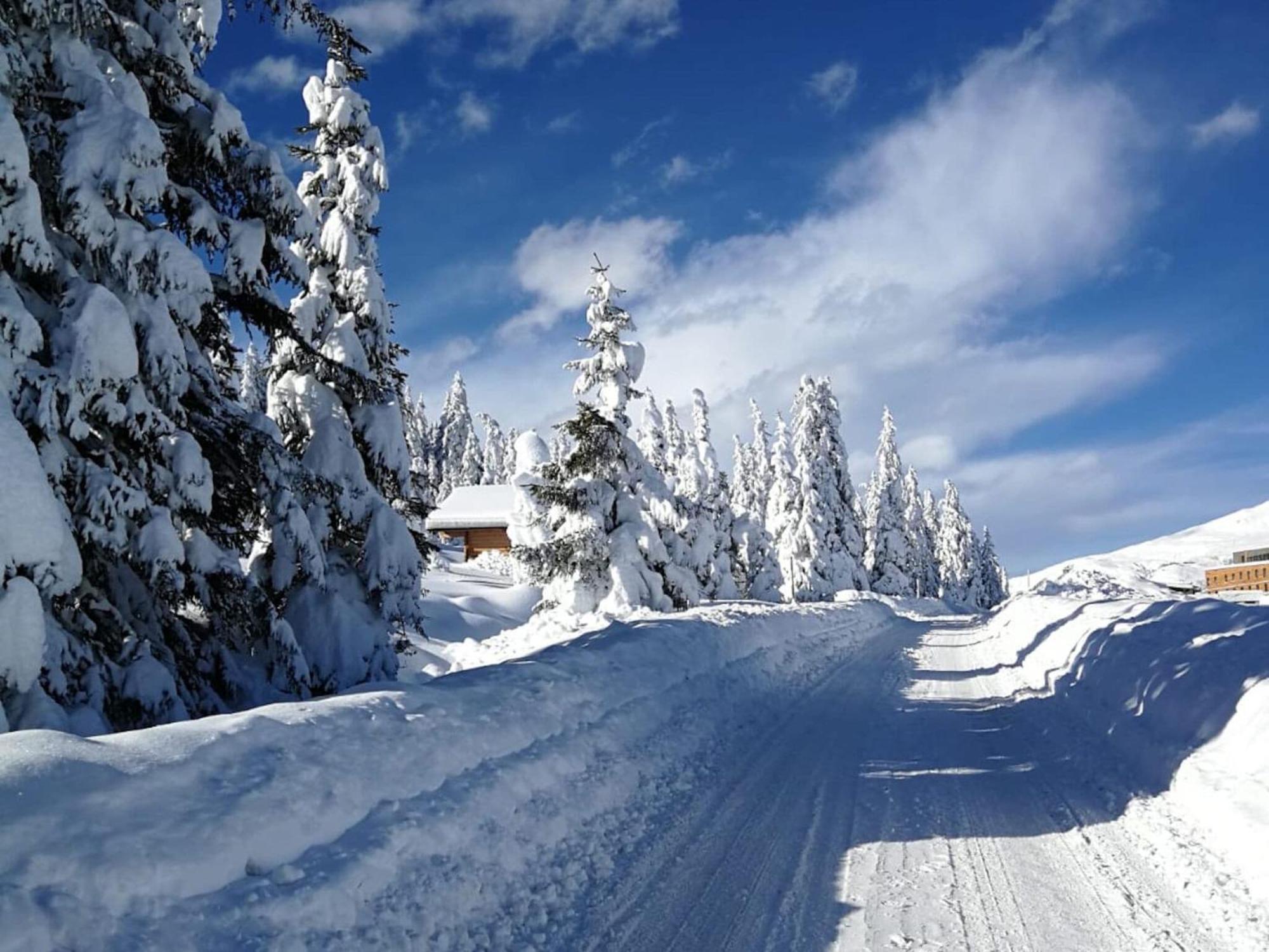 Flat South Of Kitzb Hel With Nationalparkcard Apartment Hollersbach im Pinzgau Exterior foto
